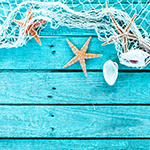 Delicate marine border of net, shells and starfish
