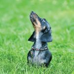 A-Wiener-Wonderland_15176902-dachshund