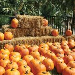 Fall-Cornucopia