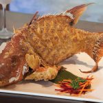 FISH-FISH-Photo-by-Ro0bin-Hill-(c)-HI-RES-(3)