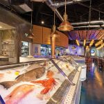 FISH-FISH-Photo-by-Ro0bin-Hill-(c)-HI-RES-(34)