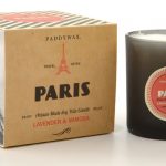 Success-Savvy-Aromatic-Traveler
