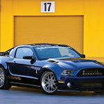 ROad-Muscle