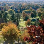Natural-Retreat_11106565-asheville-in-north-carolina
