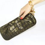 Handbag-Haven_6262224-hand-holding-cluth-bag