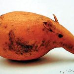 mousepotato