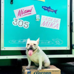 12. PAGE 4 LEFT_lanamoves_thefrenchie