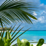 North Male Atoll, Maldives – November 23, 2019: Palm trees frame