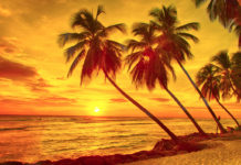 Encounters Around Town — October 2021 The 305 enjoyed the very last bits of summer with gusto as the new season ushered in with a stellar sunrise on the first day of autumn.