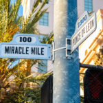 Coral Gables Cityscape
