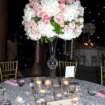 Rodolfo Matamoros Photographer 305 562 1810