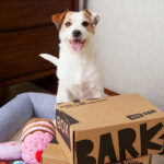 Generous Barks 1