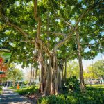 Campus photos