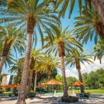 Campus photos