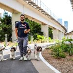 Dog Walker on Hammock Trail (2)